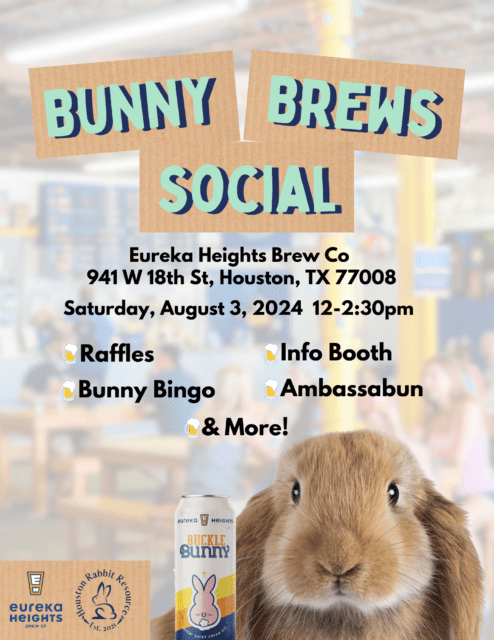 Houston Rabbit Rescue- Bunny Brews Social